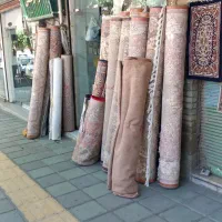 قرش