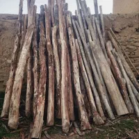 خرید انواع چوب