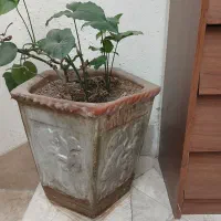 ۳ عدد گلدان سفالی بزرگ هر کدام ۳۵۰ هزار تومان