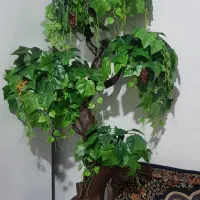 درختچه بسیار زیبا