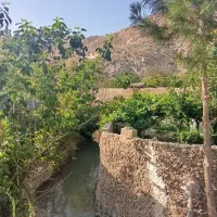 باغ 330 متری اتاق و استخر(نوساز) برق
