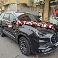 پک اقتصادی عروس وداماد