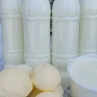 شیر محلی