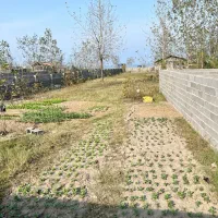 فرصتی بی تکرار زمین ۲۰۰ متری بر دوم دریا