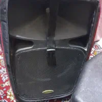 باند اکتیو