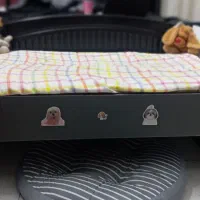 تخت مخصوص پت