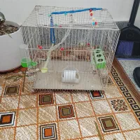 قفس پرنده