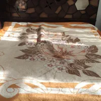 تخت|تخت و سرویس خواب|نیشابور, سرآب کوشک|دیوار