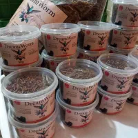 کرم میلورم خشک و زنده و آموزش پرورش|خزنده|محمدیه-قزوین, |دیوار