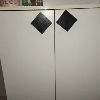 جاکفشی سالم