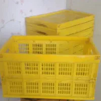 ۲۰ عدد سبد تا شو نو