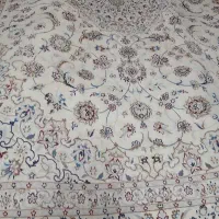 یک تخته نائین 12 متری  بومی