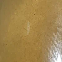 غذای زنده برای ماهی اکواریومی