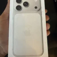17 pro