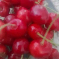 گیلاس تک دانه و زرد