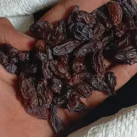 مویز رطبی