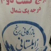 برنج طارم شمال کشت دوم