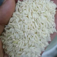 برنج دم سیاه کلات