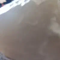 سنگ شیری که گرما. آتش او آن کار ساز نیست
