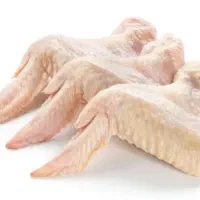 غذای سگ و گربه در شاندیز