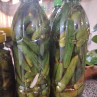 خیارشورخونگی تردوخوشمزه کیلو ۲۵۰
