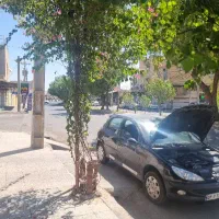 ویلا-باغ-نهال-اصلی