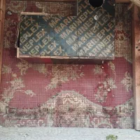 یک لانه طوطی ملنگو فروشی
