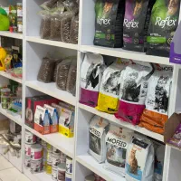 پت شاپ و لوازم حیوانات ویونا قم