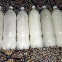 دوغ محلی