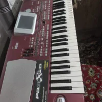 ارگ برند کورگ