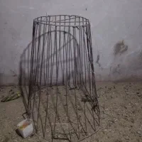 قفس