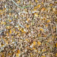 خوراک انواع دام و انواع طیور