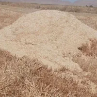 کاه جو دیم درجه یک
