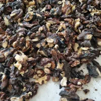 گردو درجه ۲ فسنجونی