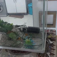 اکواریوم شرکتی شیشه خم