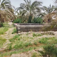 خونه باغ|فروش زمین و ملک کلنگی|نرماشیر, |دیوار
