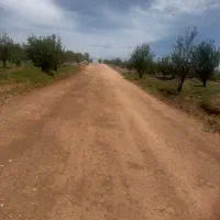 فروش زمین ۱۰۰۰ متری کودیان
