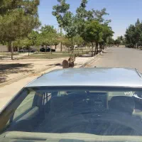 405 مدل 94|خودرو سواری و وانت|شال, |دیوار