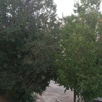 خانه-اجاره-ایی