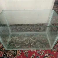 آکواریوم