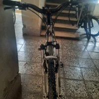 دوچرخه ویوا اصل