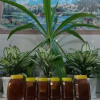عسل اصل و طبیعی
