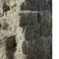 فروش علف یونجه مخلوط پرس