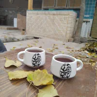 نگهداری از سالمند
