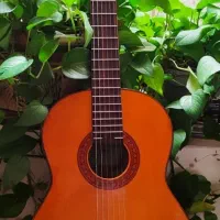 گیتار یاماها c70