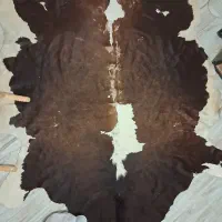 پوست ۵ متری