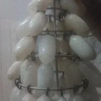 انگور سنگی