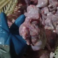 غذای سگ|لوازم جانبی حیوانات|گنبد کاووس, |دیوار