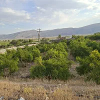 فروش باغ شهری۱هکتاری با خانه۲خوابه و نمای سلطنتی