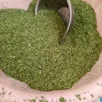 شوید|خوردنی و آشامیدنی|الشتر, |دیوار